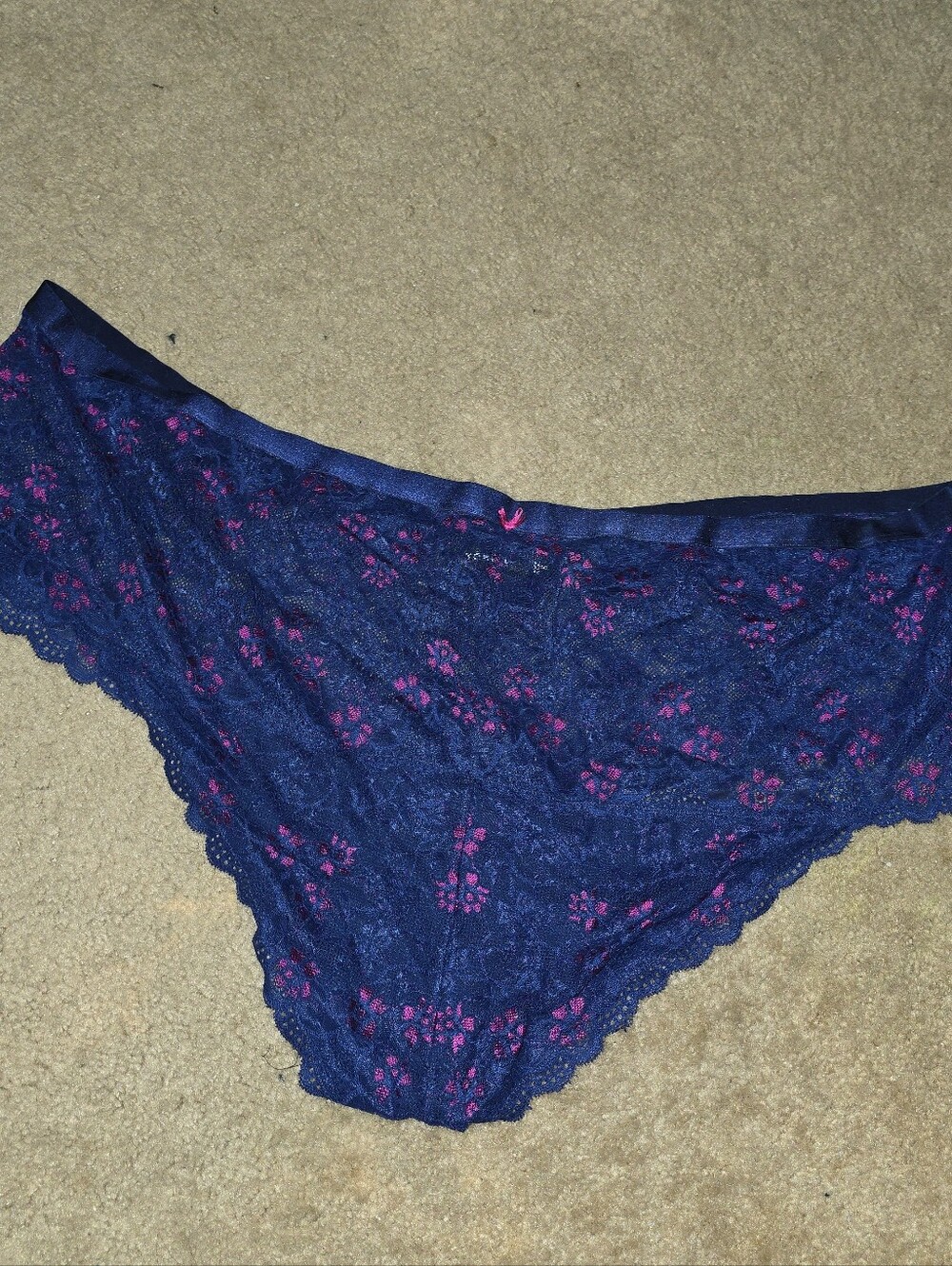 Torrid Lace Bikini Panty in Blue with Pink Accents 6x
